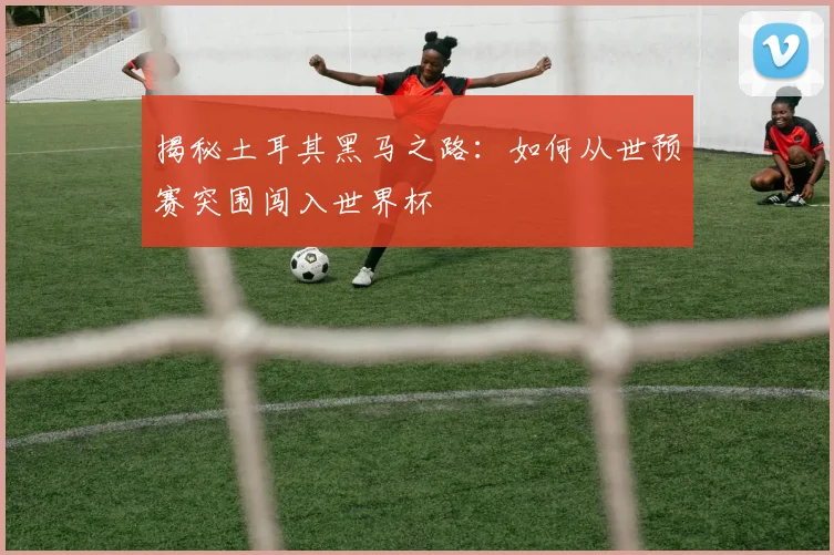 揭秘土耳其黑马之路:如何从世预赛突围闯入世界杯