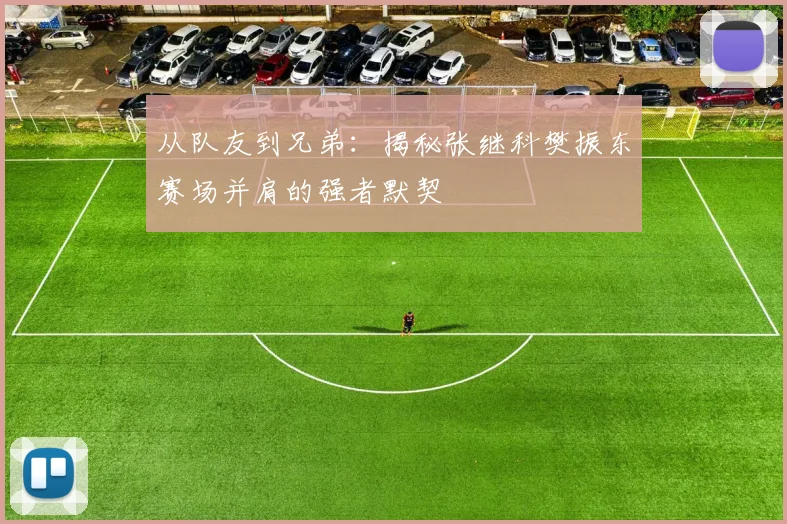 从队友到兄弟：揭秘张继科樊振东赛场并肩的强者默契