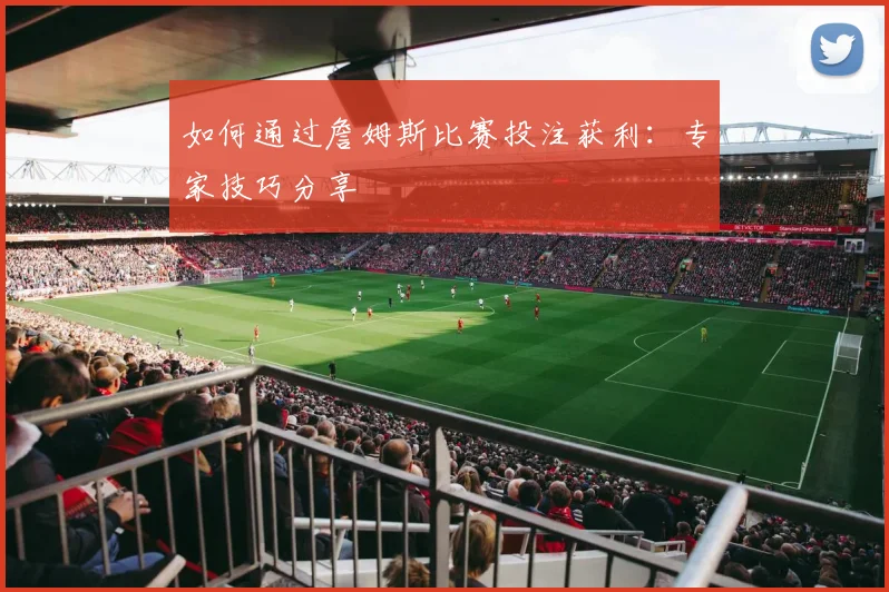 如何通过詹姆斯比赛投注获利：专家技巧分享