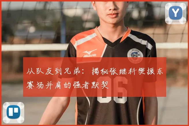 从队友到兄弟：揭秘张继科樊振东赛场并肩的强者默契