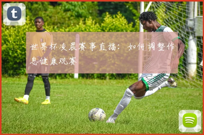 世界杯凌晨赛事直播：如何调整作息健康观赛