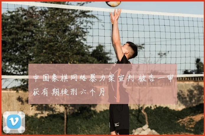 中国象棋网络暴力案宣判 被告一审获有期徒刑六个月
